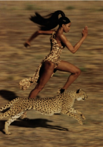 running with cheetah